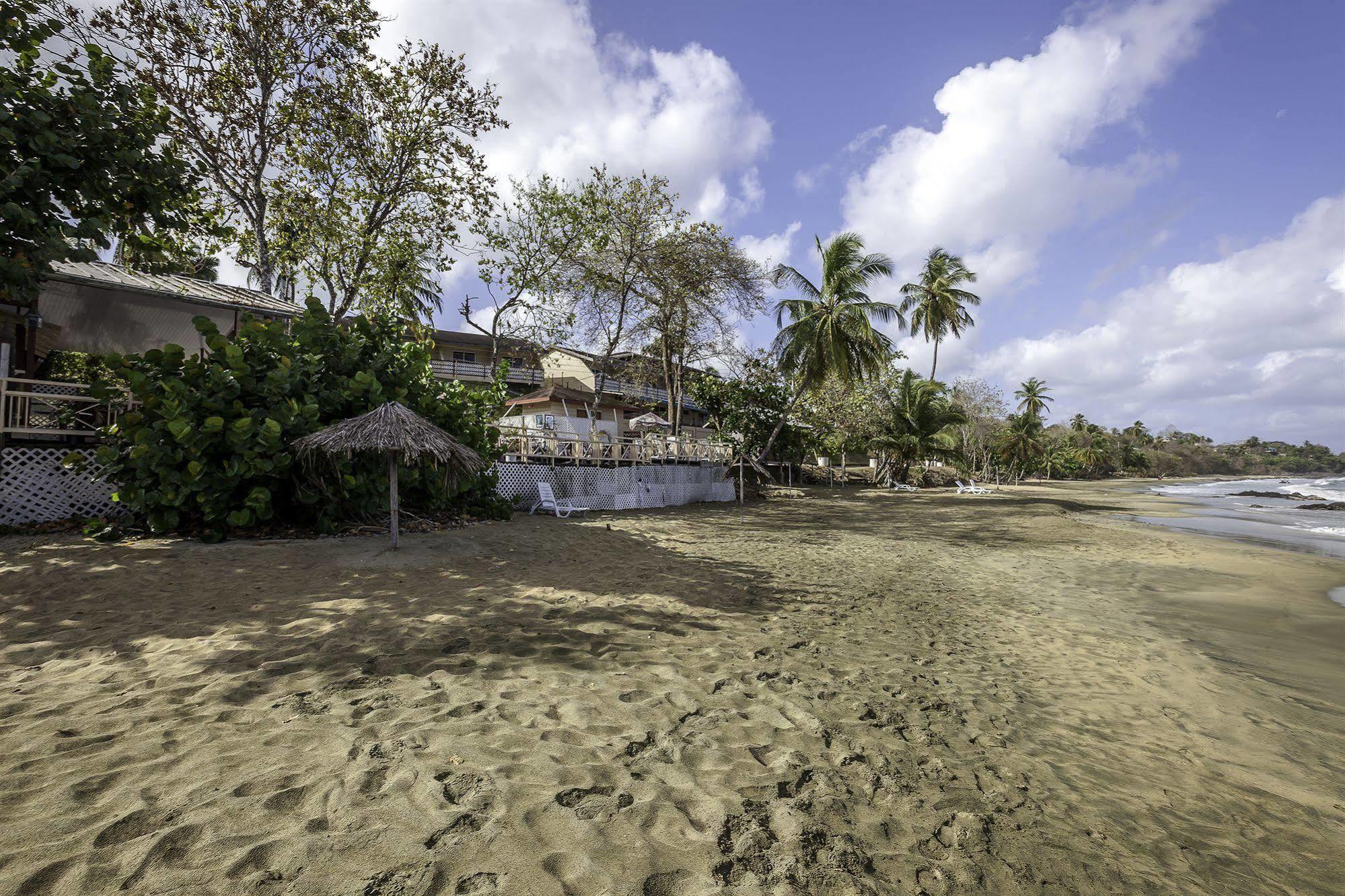 Grafton Beach Resort Black Rock Exterior foto